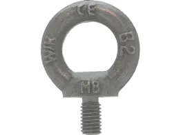 Afbeelding voor categorie Oogbouten